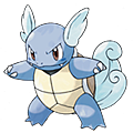 8wartortle