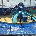 20101219.jpg
