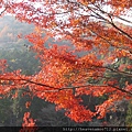 20091108.jpg