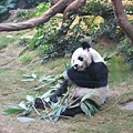 20101221.jpg