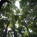 20091104.jpg