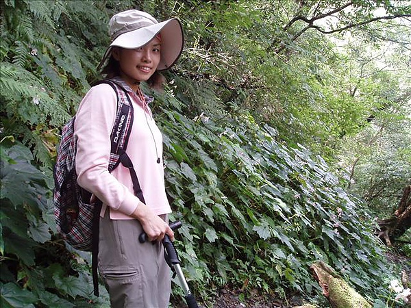 開滿山坡的粉白小花