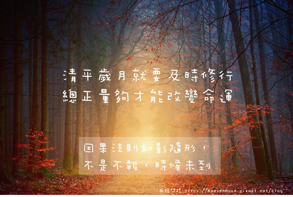 4.png 4.png