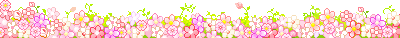 flowers-divider-pixel.gif