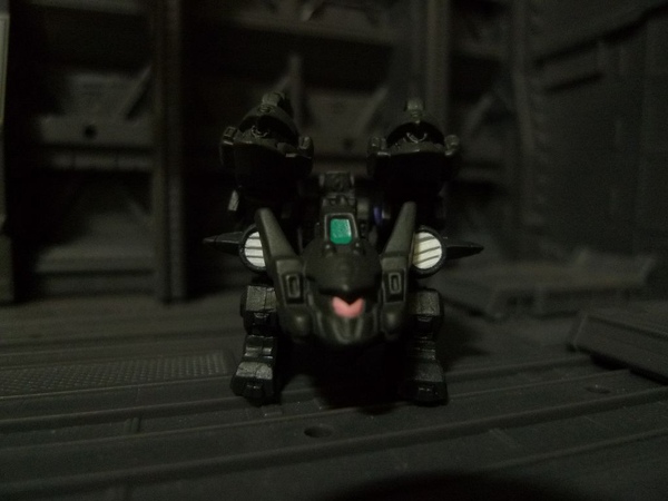 CUSTOM10-096地獄三頭犬2.JPG