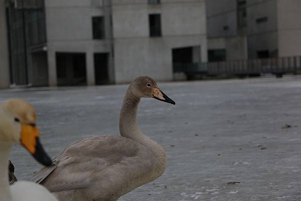 IMG_9861.JPG IMG_9861.JPG