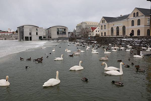 IMG_9844.JPG IMG_9844.JPG