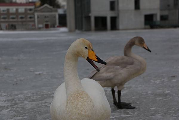 IMG_9859.JPG IMG_9859.JPG