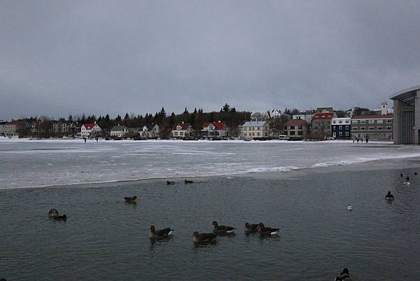 IMG_9836.JPG IMG_9836.JPG