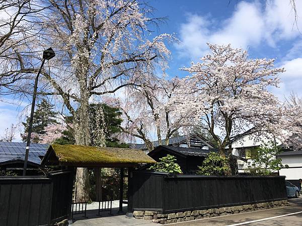 IMG_1202.JPG IMG_1202.JPG