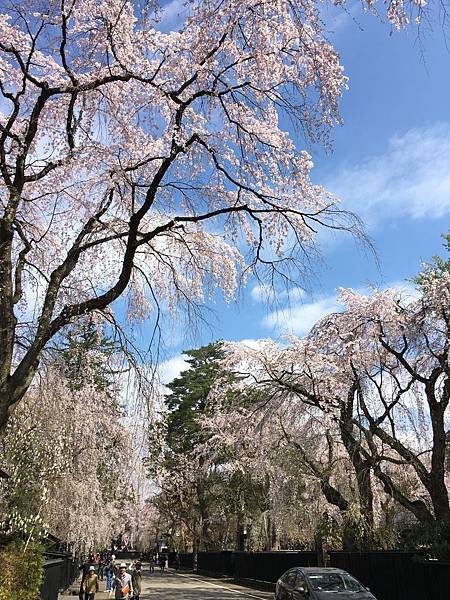 IMG_1204.JPG IMG_1204.JPG