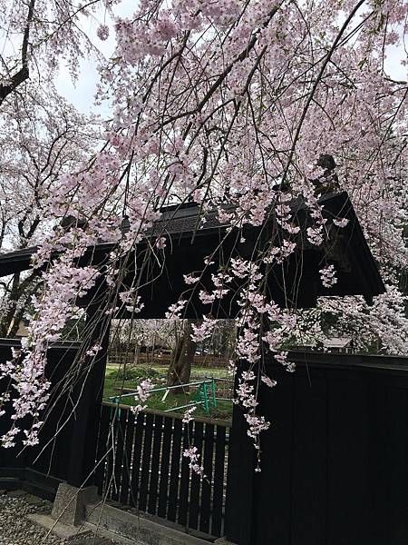 IMG_1210.JPG IMG_1210.JPG