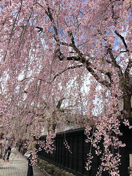 IMG_1211.JPG IMG_1211.JPG