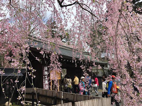 IMG_1215.JPG IMG_1215.JPG