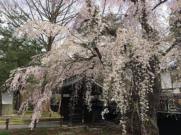 IMG_1218.JPG IMG_1218.JPG