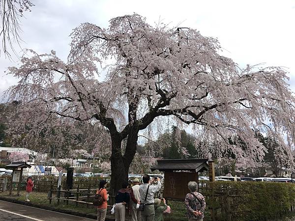 IMG_1225.JPG IMG_1225.JPG