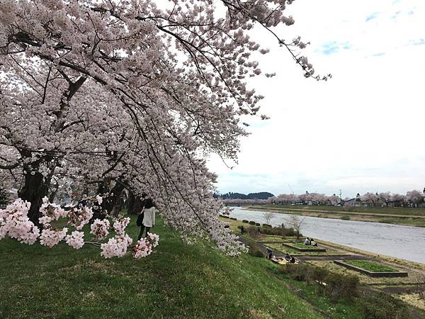 IMG_1237.JPG IMG_1237.JPG