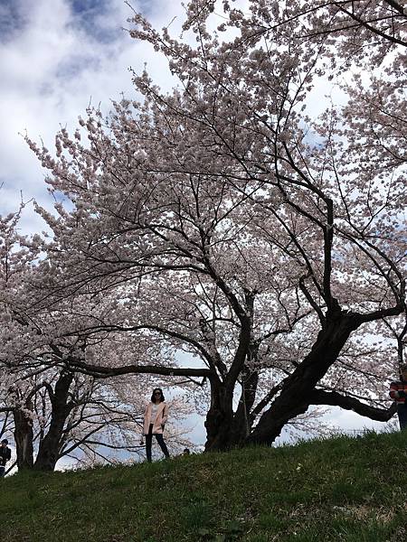 IMG_1241.JPG IMG_1241.JPG