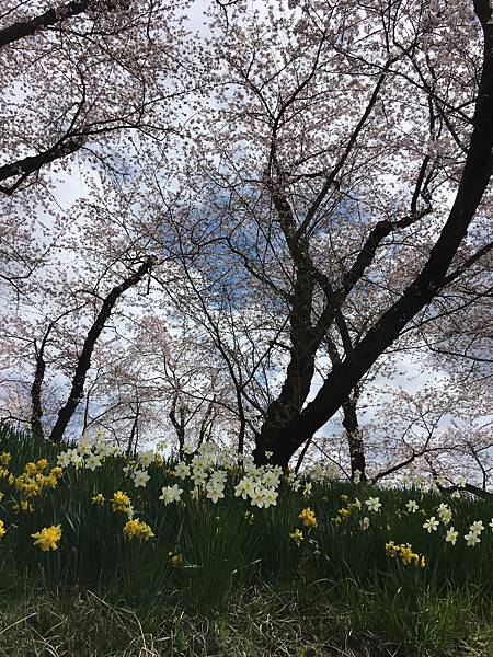 IMG_1245.JPG IMG_1245.JPG