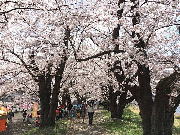 IMG_1265.JPG IMG_1265.JPG