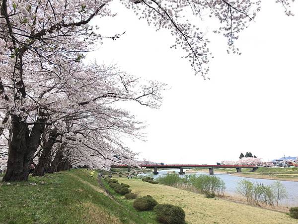 IMG_1269.JPG IMG_1269.JPG