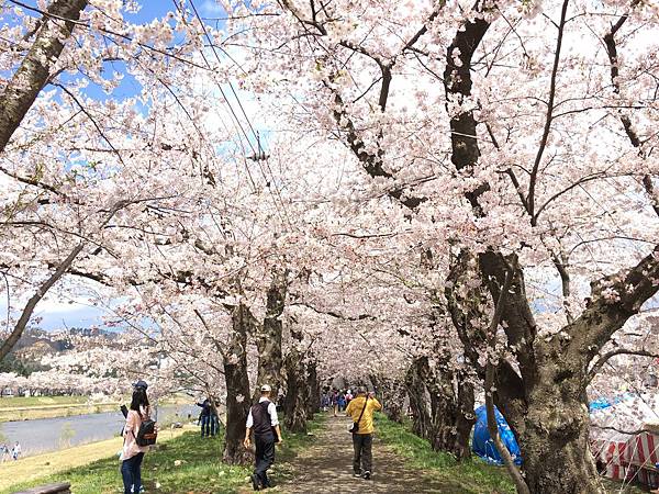 IMG_1267.JPG IMG_1267.JPG