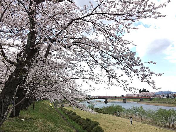 IMG_1273.JPG IMG_1273.JPG