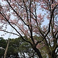 2010.03.20淡水和八里 033.jpg