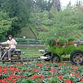 廬山,清境&小瑞士花園