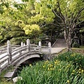 Hagi Castle Garden, Western Honshu, Japan.jpg