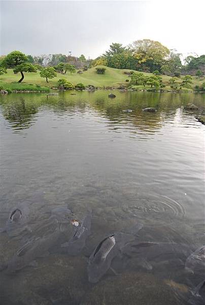 水前寺  成趣園