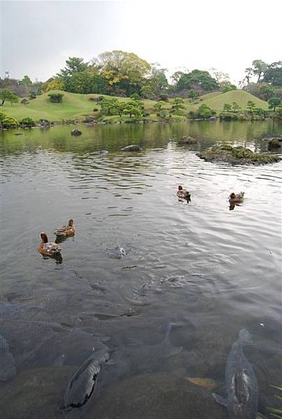 水前寺  成趣園