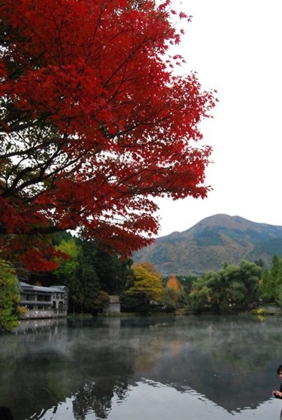 由布院