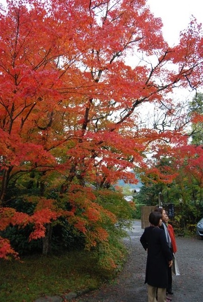 由布院