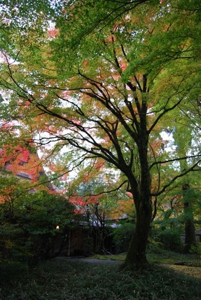 由布院