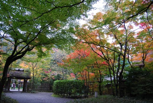 由布院