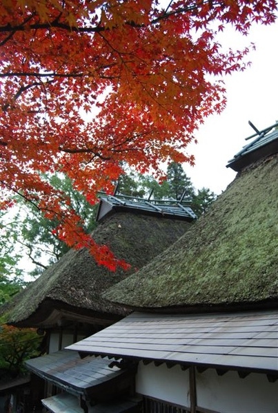 大興善寺