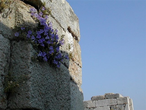 St. John's Tomb