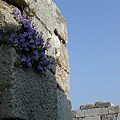 St. John's Tomb