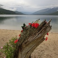 Kokanee Creek 營地海灘