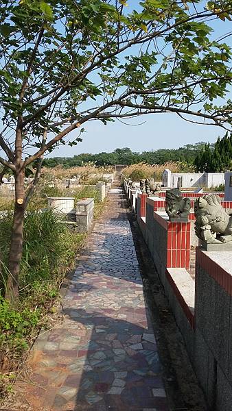 20161223_131802 20161223_131802