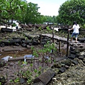 Nan Madol 24