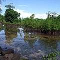 Nan Madol 39