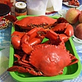 Big Big Mangrove Crab 2