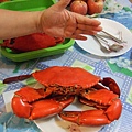 Big Big Mangrove Crab 3