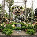 Orchid show