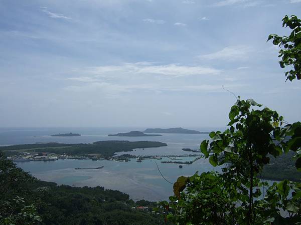 海水顏色變了