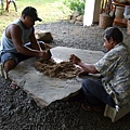 Sakau making in Cliff