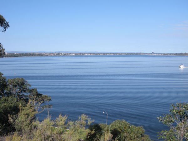 Swan River 天鵝河