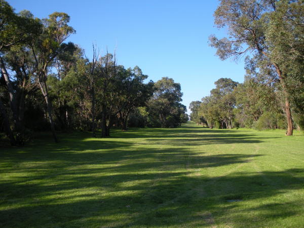 國王公園